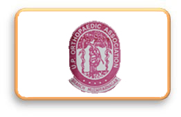 section
