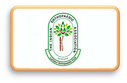 section