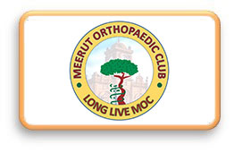 section